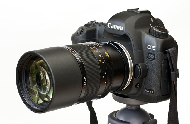 Elmarit on Canon