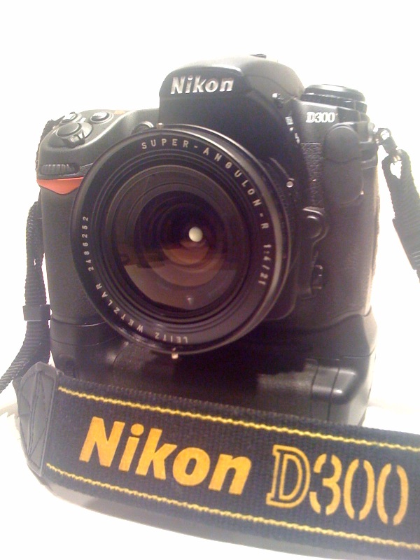 D300