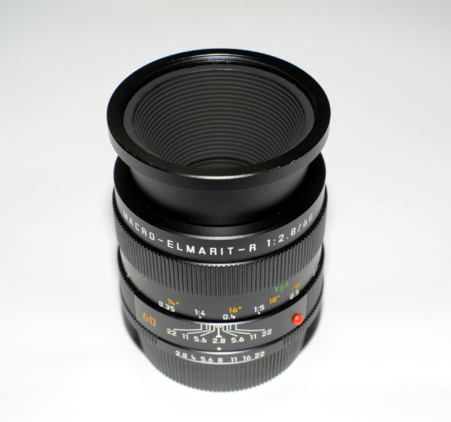 Leitax-1